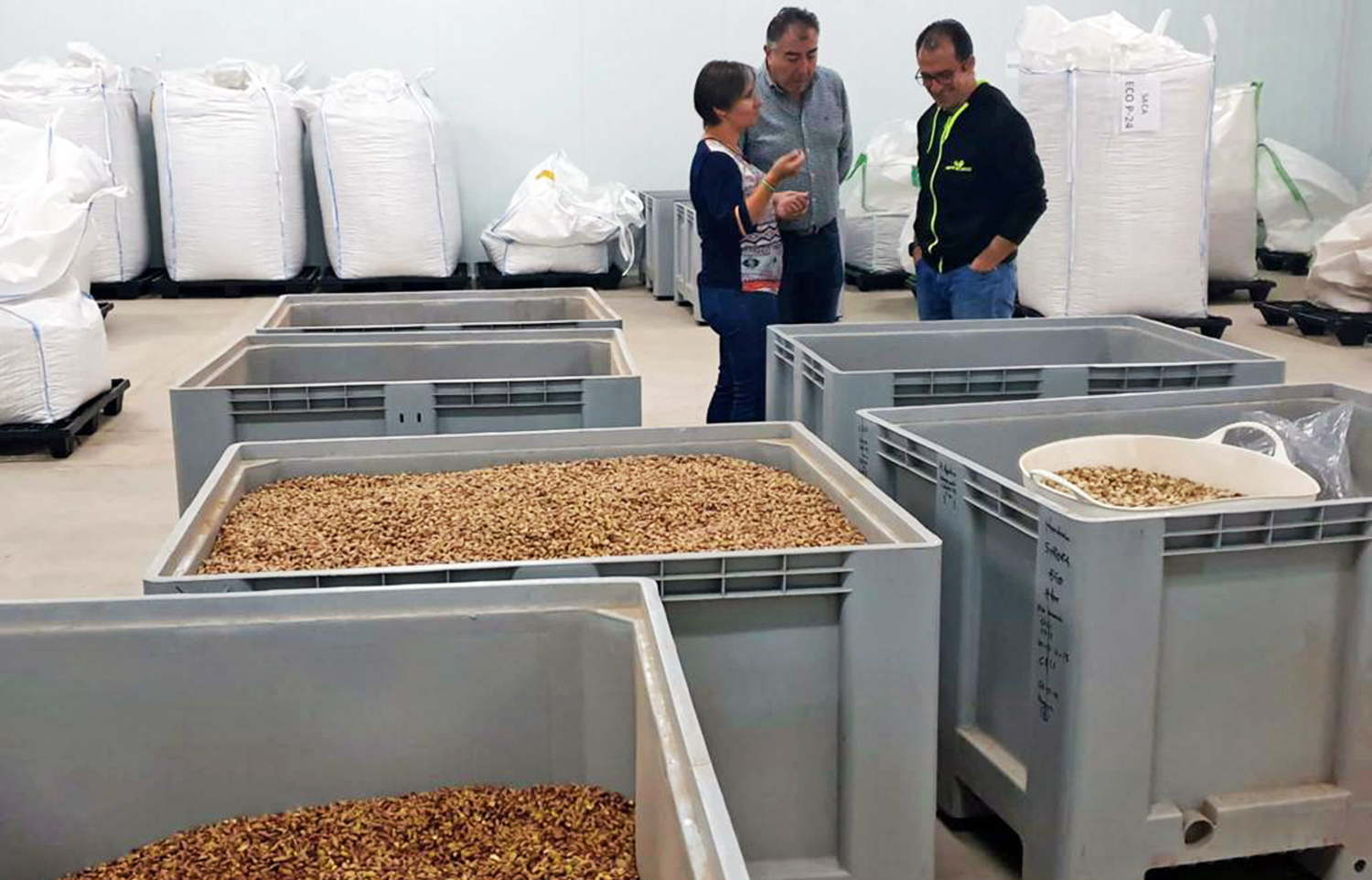 La delegada Soledad Aranda ha visitado la planta de Appistaco en Navas de San Juan cuando se inicia la campaña de recolección del pistacho