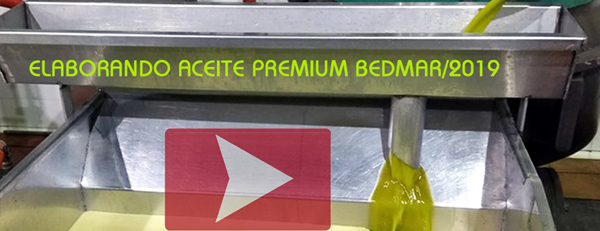 BEDMAR. Elaborando el aceite verde Premium Maganasur 19/0ct/19